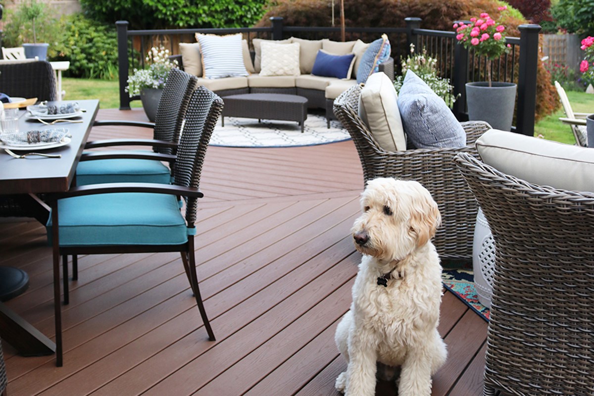 Trex decking dog